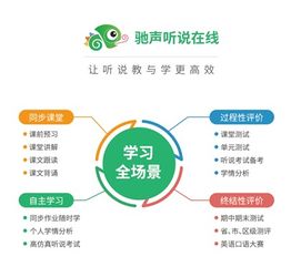 湖北宜昌考前大练兵，驰声听说在线助力初三英语模考