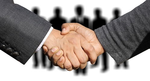 团队协作的艺术 从Pixabay免费图片到湖北网络技术服务实践